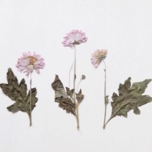 Meet your Posher, Mushka